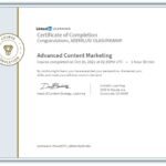 olasunkanmi ademiluisi - advanced content marketing course certification