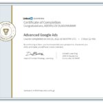 olasunkanmi ademilusi - advanced google ads course